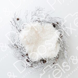 Frosted Wreath Newborn Digital Backdrop, Digital Backdrop for Newborn, Newborn Digital Background, PNG Baby Backdrop, Backdrop for Photoshop