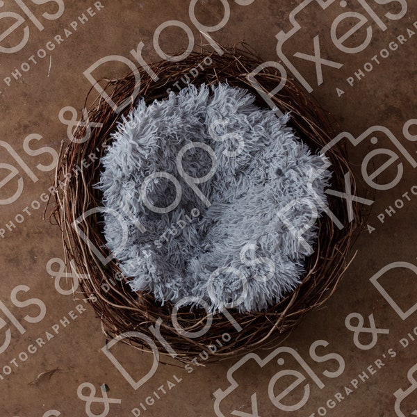 Baby Bird Nest Gray Newborn Digital Backdrop Background Props