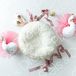 Ballerina Newborn Digital Backdrop, Digital Backdrop for Newborn, Newborn Digital Background, PNG Baby Backdrop, Backdrop for Photoshop