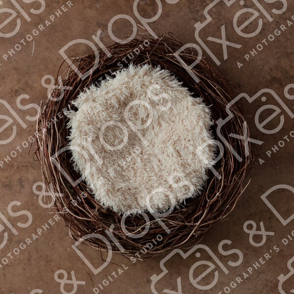 Baby Bird Nest Ivory Beige Newborn Digital Backdrop Background Props