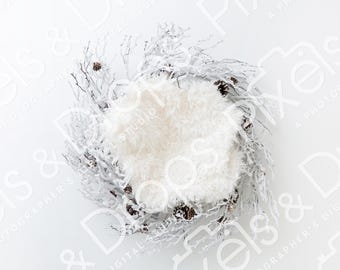 Winter Wreath Newborn Digital Backdrop, Digital Backdrop for Newborn, Newborn Digital Background, PNG Baby Backdrop, Backdrop for Photoshop