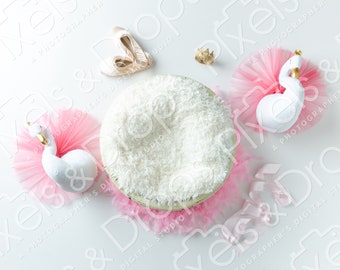 Pink Ballerina Newborn Digital Backdrop, Digital Backdrop for Newborn, Newborn Digital Background, PNG Baby Backdrop, Backdrop for Photoshop