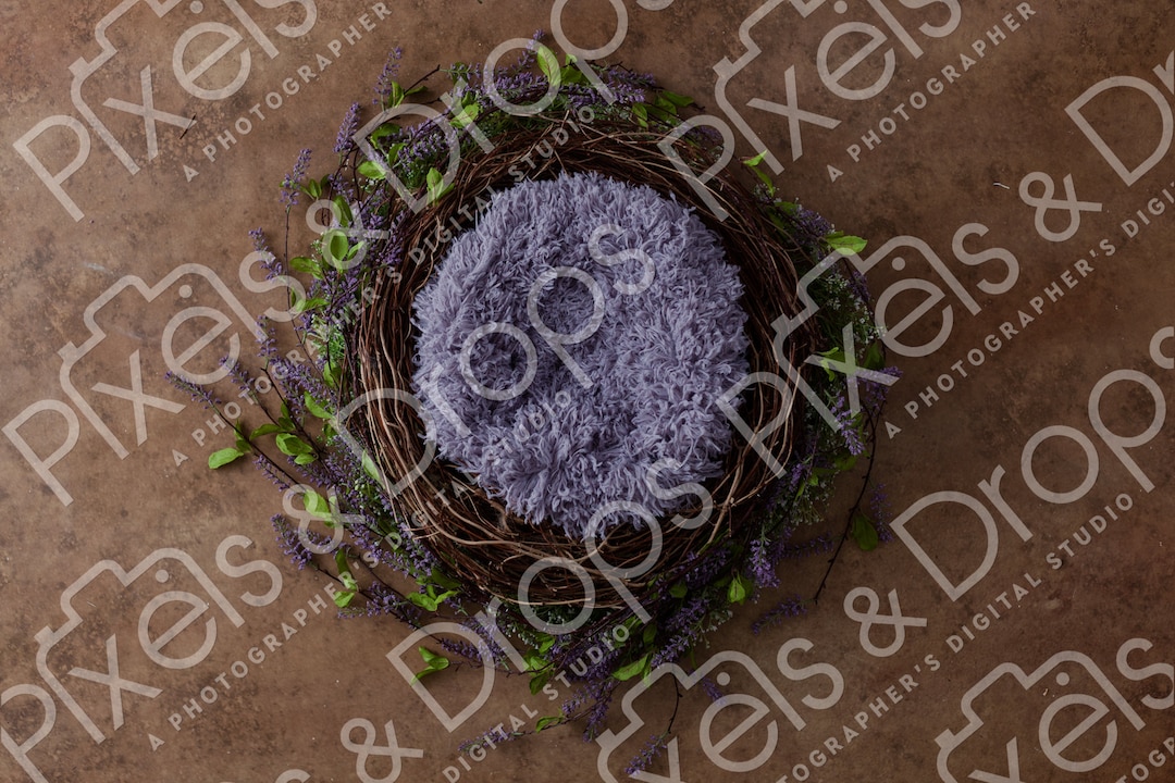 Purple Flower Baby Bed Vines Wreath Nest Newborn Digital Etsy