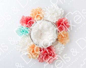 Coral Flowers Newborn Digital Backdrop, Digital Backdrop for Newborn, Newborn Digital Background, PNG Baby Backdrop, Backdrop for Photoshop