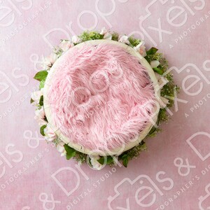 Pink Floral Newborn Digital Backdrop, Digital Backdrop for Newborn, Newborn Digital Background, PNG Baby Backdrop, Backdrop for Photoshop