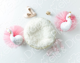 Little Ballerina Digital Backdrop, Digital Backdrop for Newborn, Newborn Digital Background, PNG Baby Backdrop, Backdrop for Photoshop