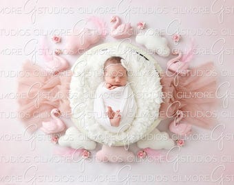 Digital Newborn Backdrop Pink Swan Theme, Baby Girl Newborn Photography Background, Swan Feather Cloud Pink Tulle Rose Newborn PNG Overlay