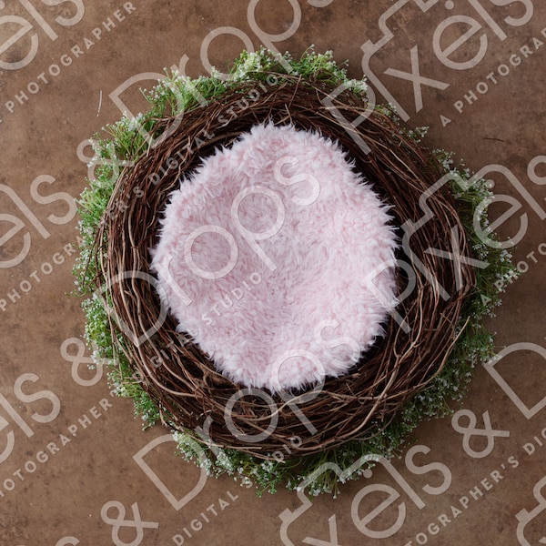 Pink Wreath Bird Nest Basket Newborn Digital Backdrop Background Props Easter Spring