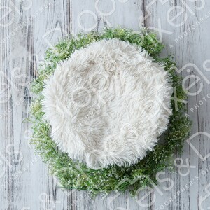 Newborn Digital Backdrop Background White Barnwood Barn Wood Floor with White and Green