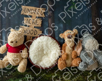 Hundred Acre Wood Digital Backdrop, Digital Backdrop for Newborn, Newborn Digital Background, PNG Baby Backdrop, Backdrop for Photoshop