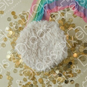 Rainbow Arch Pot of Gold Coins March April Newborn Digital Photoshop Backdrop Background