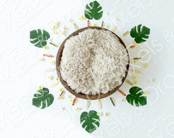 Fondo digital para recién nacidos con temática de surf tropical, fondo digital para recién nacidos, fondo digital para recién nacidos, fondo PNG para bebés, Photoshop, tabla de surf,