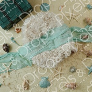 May include: A light blue fabric backdrop with a white fluffy texture in the center. The backdrop is decorated with seashells, starfish, and a small wooden treasure chest.