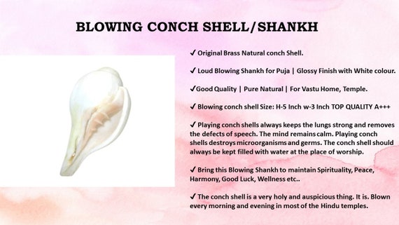 Conch Shell Spiritual Meaning: Unveiling Mystic Symbols