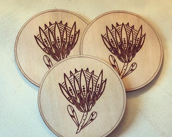Protea wooden Coasters