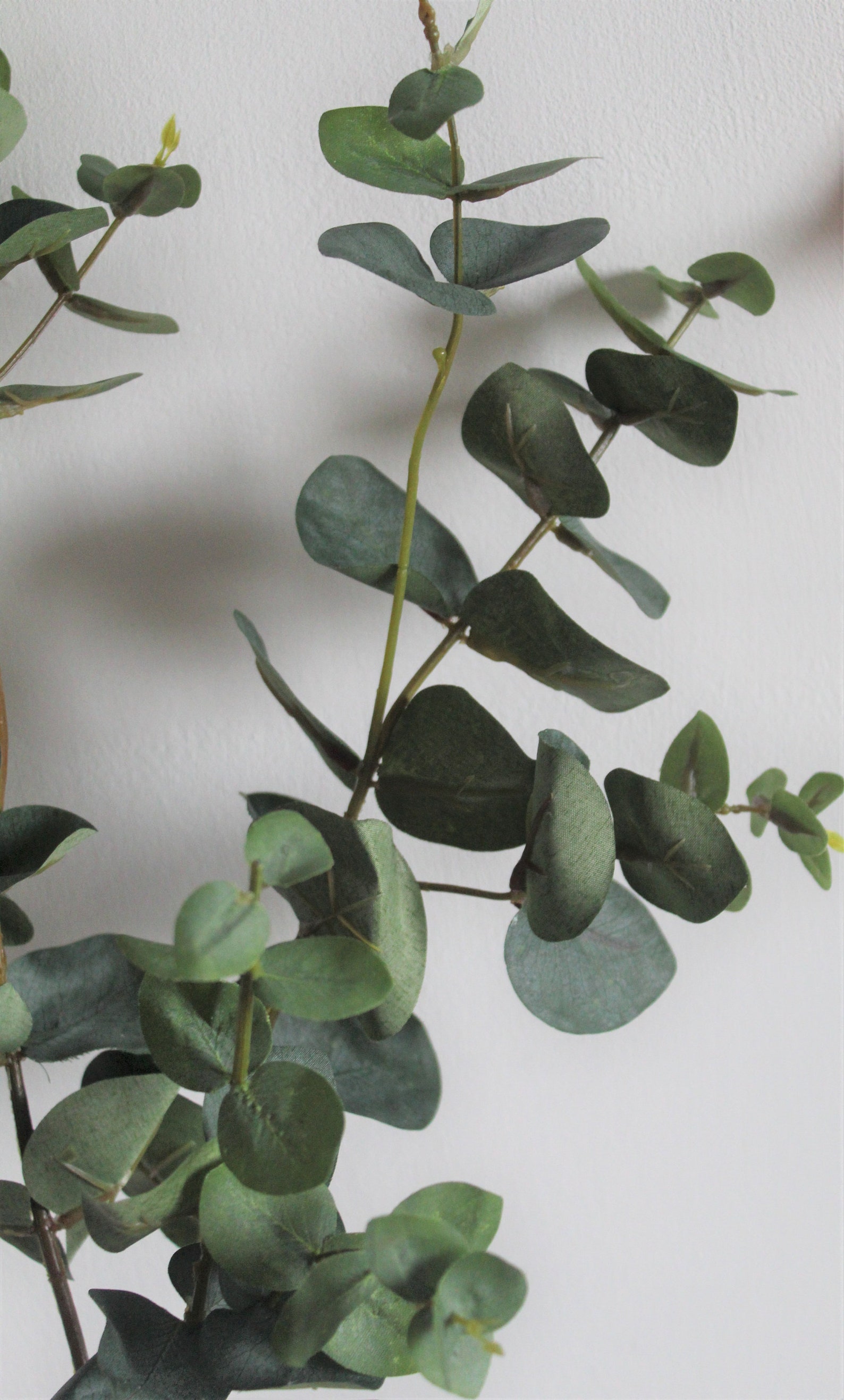 Premium Artificial Eucalyptus Stem 72cm Dark Green Back By Etsy