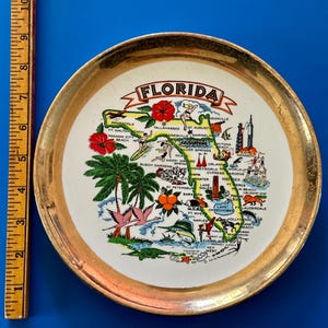 Pode incluir: Um prato decorativo com um mapa da Fl&oacute;rida com acabamento dourado. O prato inclui ilustra&ccedil;&otilde;es de marcos, flora e fauna, com a palavra "FLORIDA" em uma faixa no topo. O prato tem aproximadamente 15 cm de di&acirc;metro.