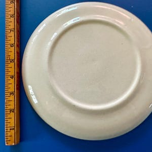 Pode incluir: Um pequeno prato de cer&acirc;mica branco-sujo com uma borda ligeiramente levantada. O prato tem aproximadamente 15 cm de di&acirc;metro. Uma r&eacute;gua de madeira com marca&ccedil;&otilde;es em polegadas &eacute; vis&iacute;vel no lado esquerdo da imagem.