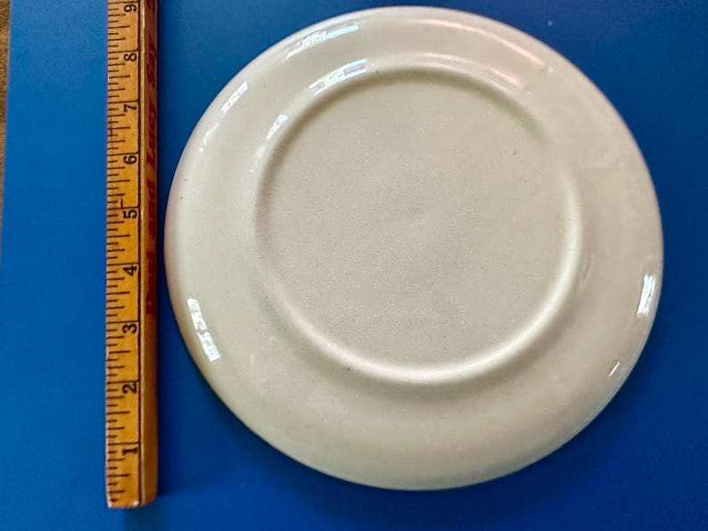 Pode incluir: Um pequeno prato de cer&acirc;mica branco-sujo com uma borda ligeiramente levantada. O prato tem aproximadamente 15 cm de di&acirc;metro. Uma r&eacute;gua de madeira com marca&ccedil;&otilde;es em polegadas &eacute; vis&iacute;vel no lado esquerdo da imagem.