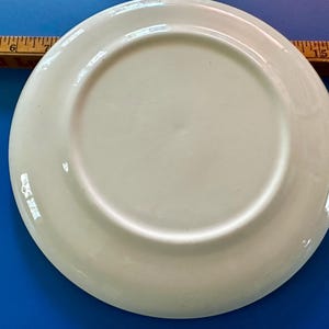 Pode incluir: Um prato de cer&acirc;mica creme com acabamento brilhante. O prato &eacute; redondo com uma borda ligeiramente elevada. Uma r&eacute;gua de madeira com marca&ccedil;&otilde;es em polegadas &eacute; parcialmente vis&iacute;vel no fundo.
