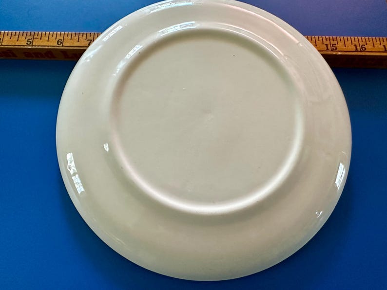 Pode incluir: Um prato de cer&acirc;mica creme com acabamento brilhante. O prato &eacute; redondo com uma borda ligeiramente elevada. Uma r&eacute;gua de madeira com marca&ccedil;&otilde;es em polegadas &eacute; parcialmente vis&iacute;vel no fundo.