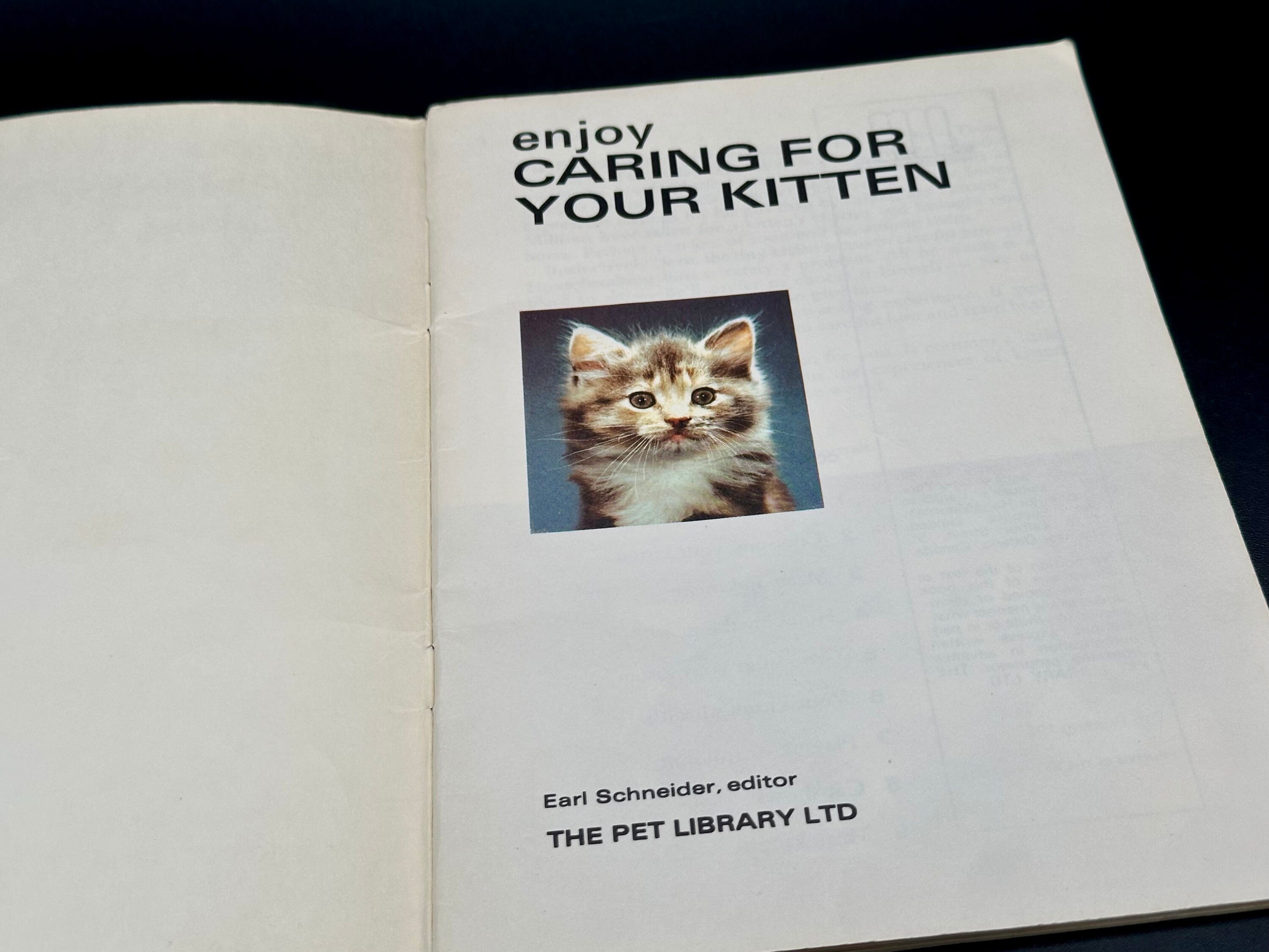 洋書 The Key to Caring Enjoy Caring for Your Kitten - Softcover Earl Schneider