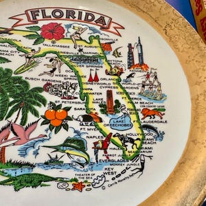 Pode incluir: Um prato decorativo de cer&acirc;mica com um mapa colorido da Fl&oacute;rida. O mapa inclui ilustra&ccedil;&otilde;es de marcos, flora e fauna, como flamingos, palmeiras e laranjas. O prato tem uma borda dourada e a palavra "FLORIDA" no topo.