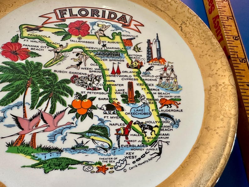 Pode incluir: Um prato decorativo de cer&acirc;mica com um mapa colorido da Fl&oacute;rida. O mapa inclui ilustra&ccedil;&otilde;es de marcos, flora e fauna, como flamingos, palmeiras e laranjas. O prato tem uma borda dourada e a palavra "FLORIDA" no topo.