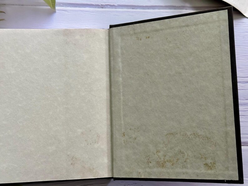 May include: Open book with black cover and aged, textured pages. The left page is a light cream color, while the right page is a muted green. The pages show signs of age with spots and discoloration.