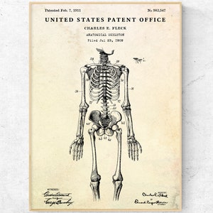 Human Skeleton 1911 Patent Print. Anatomical Invention, Antique Forensic Poster, Anatomy Medical Vintage Wall Art, Doctor Office Decor
