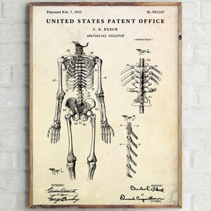 Anatomical Skeleton 1911 Patent Drawing Print. Doctor Office, Medical Vintage Wall Art. Antique Anatomy Blueprint Poster, Gothic Home Decor