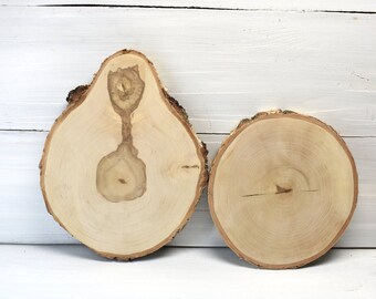 TWO 11'' Birch wood slices Centerpiece Wood cake stand Rustic wedding decorations Wood slab Wooden cupcake stand Baby shower decorations