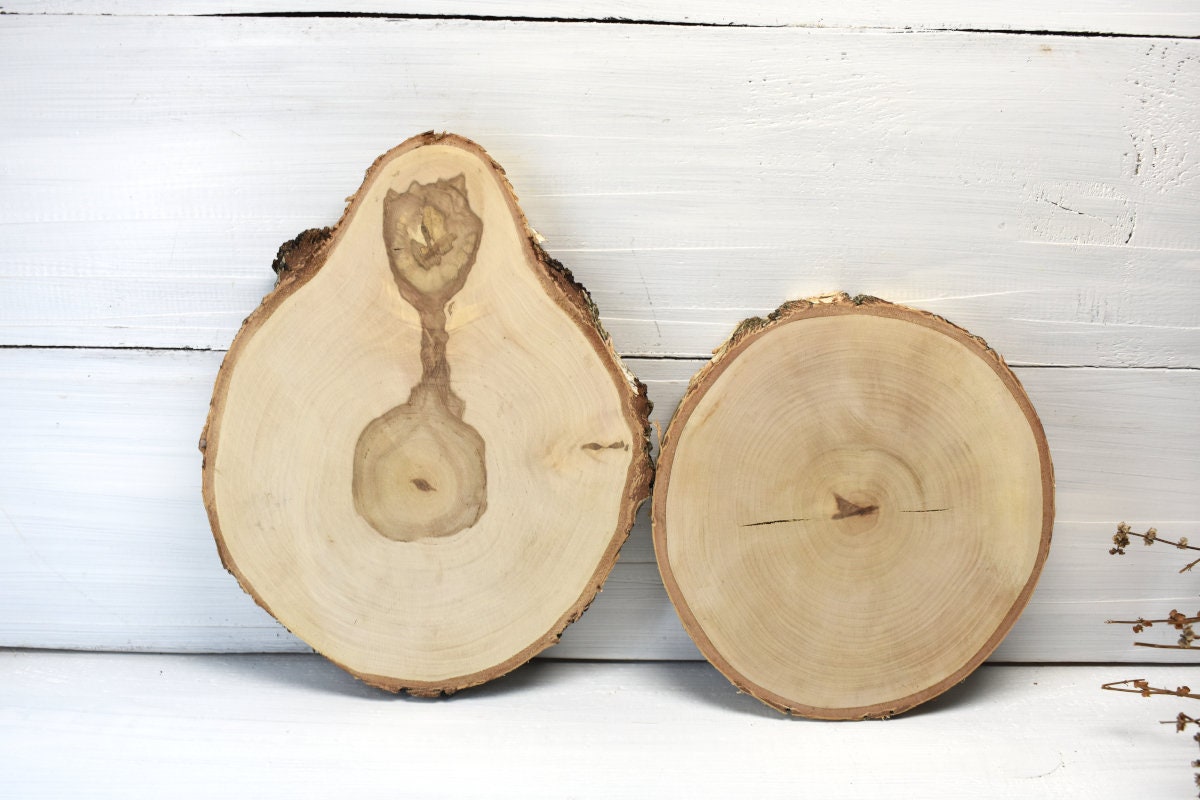 Lot De 3 Rondelles De Bouleau – Sous-verre, Sous-plat, Déco Naturelle
