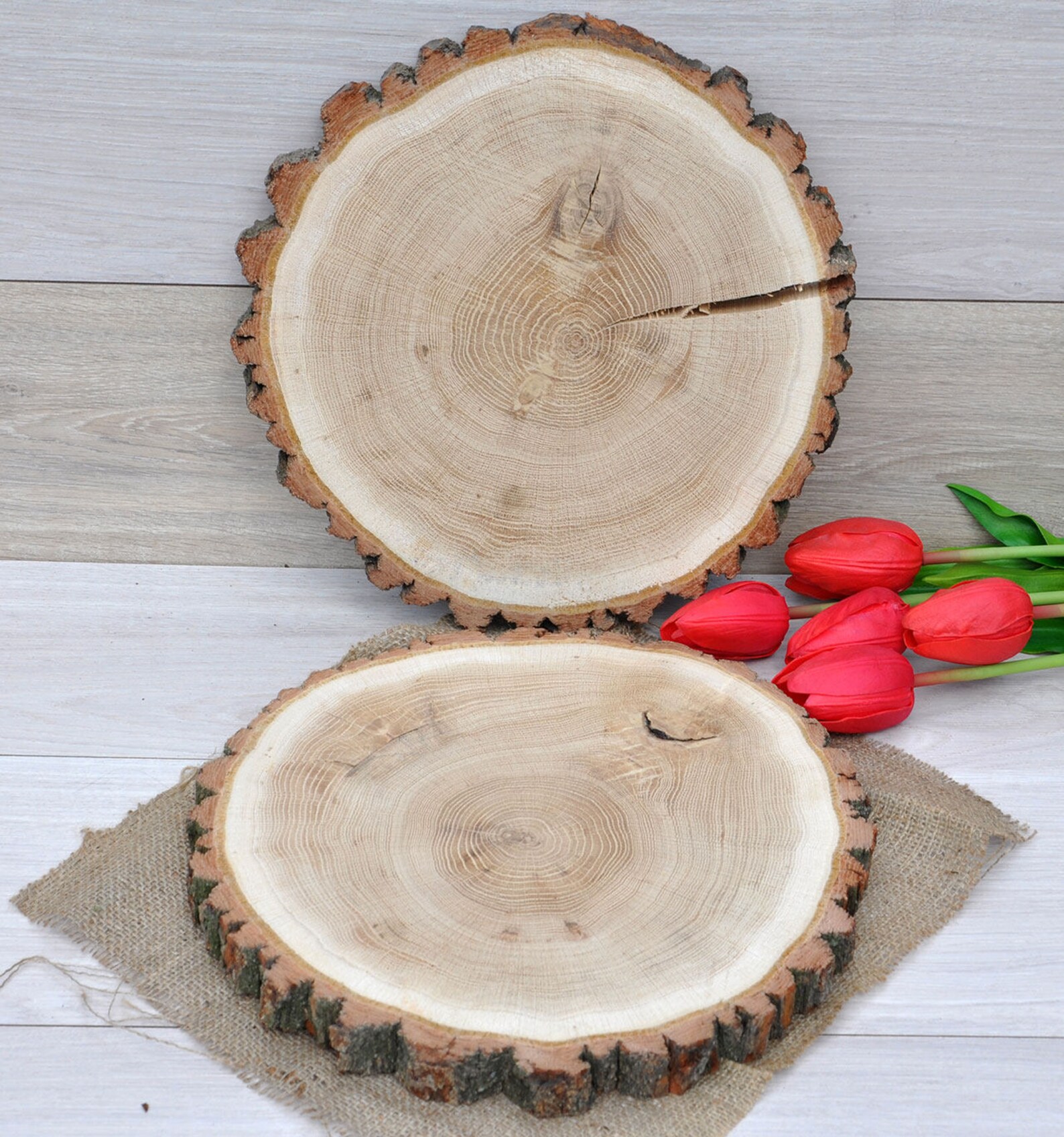 32-35cm RONDES Tranches de bois chêne Rondelles de bois Rondin | Etsy