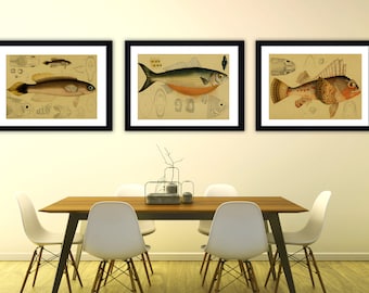Vintage fish print fish wall art vintage print victorian wall art watercolour print fishes wall set antique fish print