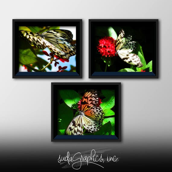 Butterfly Printable Wall Art Butterfly Decor Butterfly | Etsy