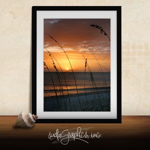 以下が含まれることがあります： 海に沈む夕日を写した額縁付きの写真。前景には背の高い草が生えている。空は鮮やかなオレンジ色とピンク色で、太陽は地平線に沈みかけている。海は濃い青色で、ビーチは薄い茶色である。