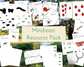 Minibeast resource pack, homeschool educational pdf digital download printable resources for school parents, bugs insects