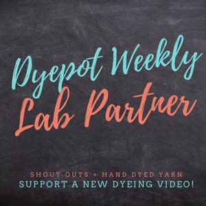 Dyepot Weekly Lab Partner May Sept 2024: 100 g Custom Dyed Yarn and Lab Partner Credit in a ChemKnits YouTube Video image 1