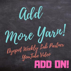 DPW LAB PARTNER Add On: Dyepot Weekly Lab Partner More Yarn (Add 100 g of Yarn to Your Lab Partner Package)