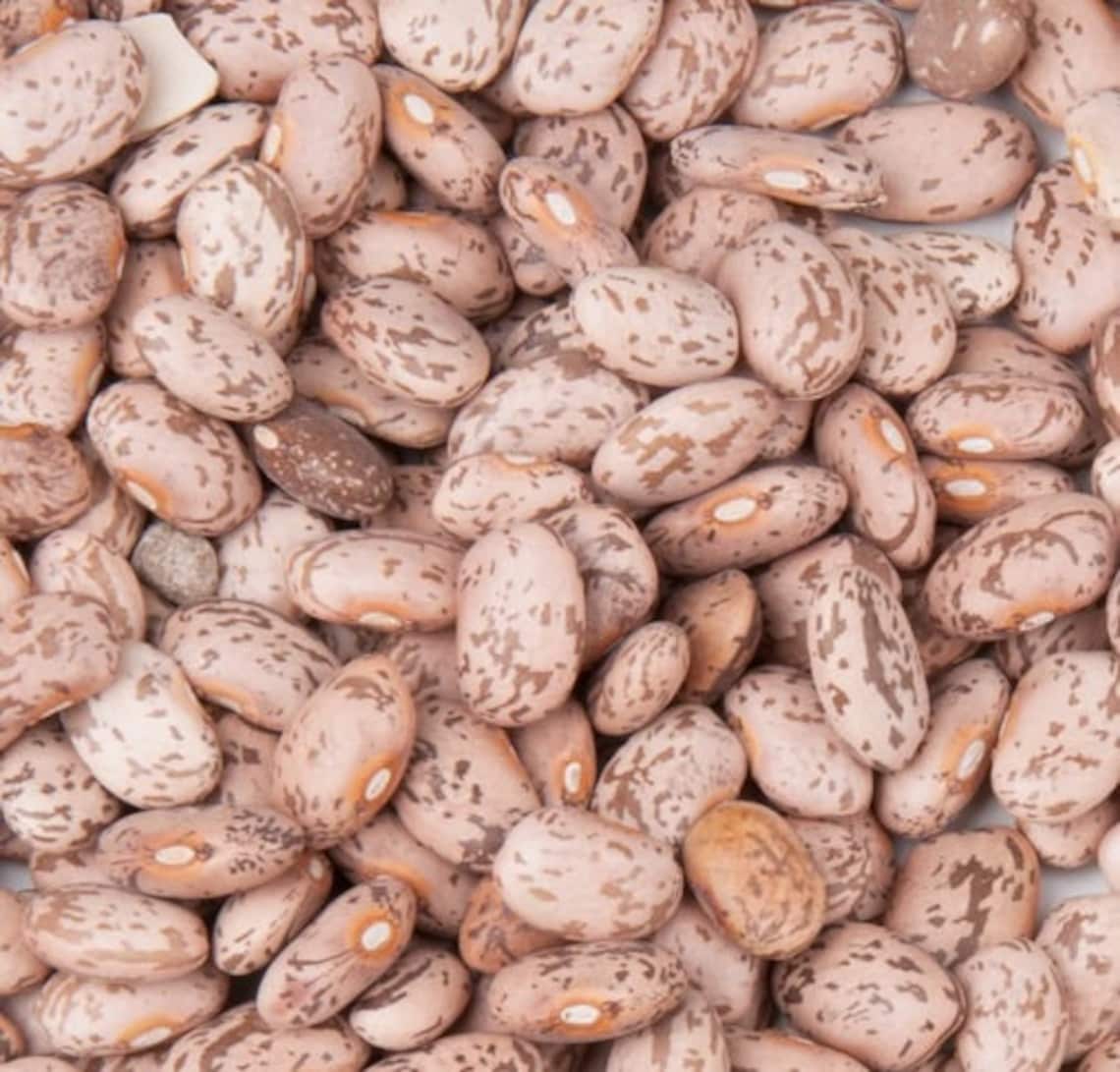 Pinto Beans Dry Bulk 10 Lbs Nongmo Navajo Agricultural Products Industry, USA Etsy