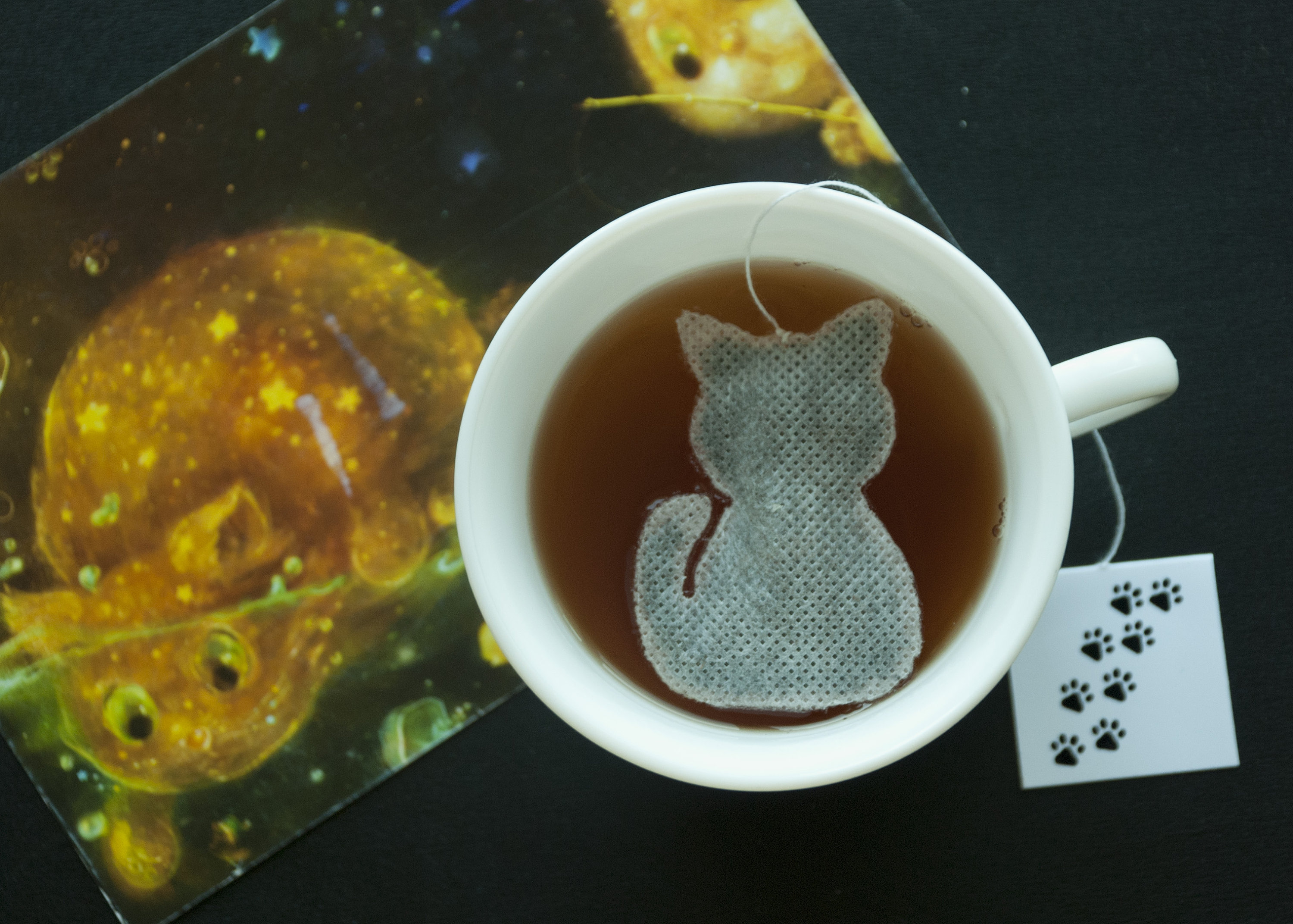 Tea bag cat. cat. 10 pc. Etsy