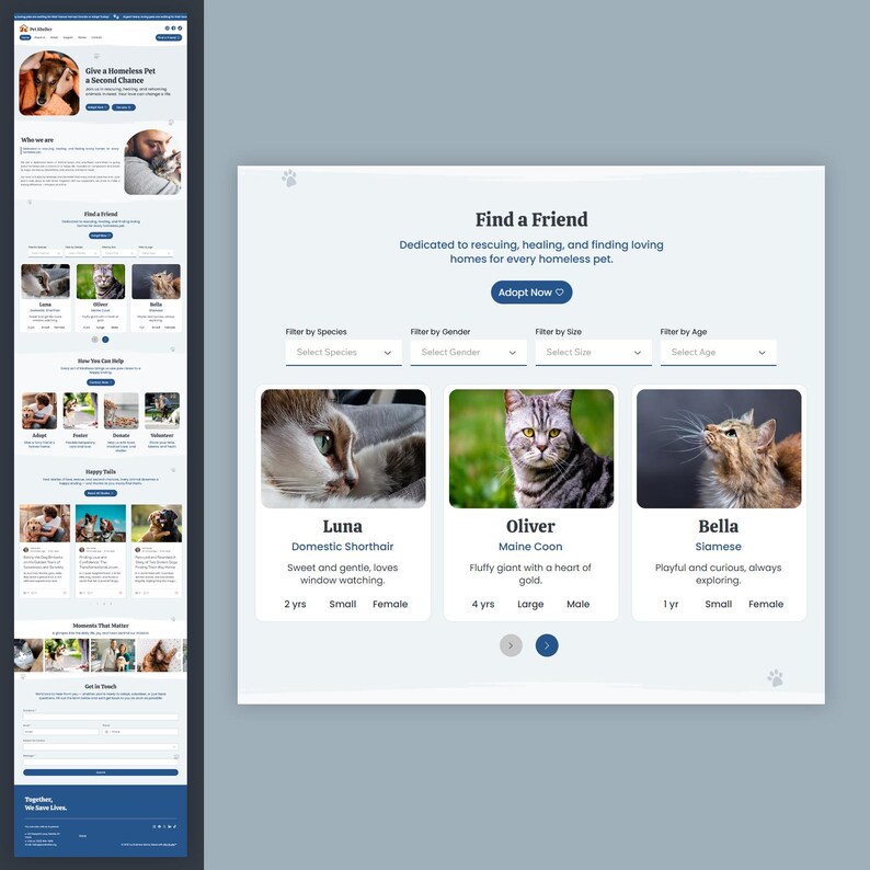 Animal Shelter Wix Studio Website Template Pet Adoption & Rescue Etsy