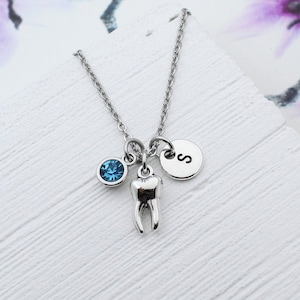 Personalized Dental Necklace, Gift for Dentist, DA Charm Accessories, DH Accessory, Graduation Gift, Tooth Charm Jewelry, Dental Gift