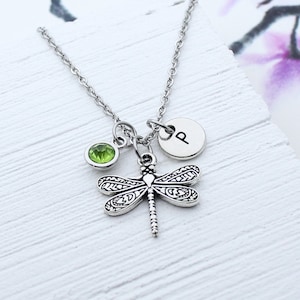 Dragonfly Necklace, Dragonfly Charm Jewelry, Insect Charm, Bug Charm, Girlfriend Gift, Women's Gift, Personalized Gift, Best Friend Gift