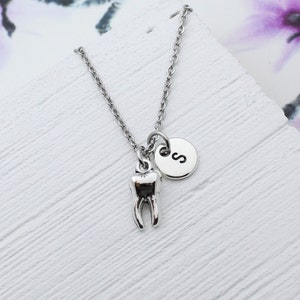 Personalized Dental Necklace, Gift for Dentist, DA Charm Accessories, DH Accessory, Graduation Gift, Tooth Charm Jewelry, Dental Gift