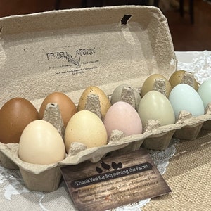 RAINBOW Hollow Eggs from Free-Range Hens with FREE Shipping