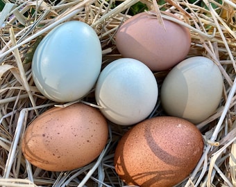 CUSTOM Hollow Blown-out Eggs from Free-Range Hens with FREE Shipping
