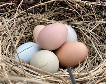 Hollow Pastel Rainbow Mix Eggs from Free-Range Hens with FREE Shipping