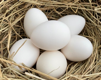 Hollow White Eggs from Free-Range Hens with FREE Shipping